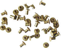 Boîte de 100 Rivets laiton 4 x 8