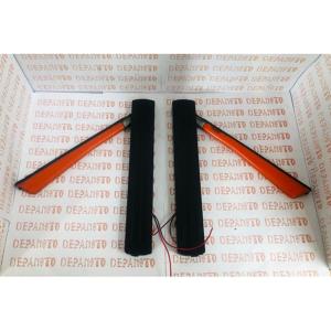 Paire de flèches de direction DUCELLIER 12 volts