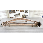 TRAIN AVANT PEUGEOT QUADRILETTE - 172