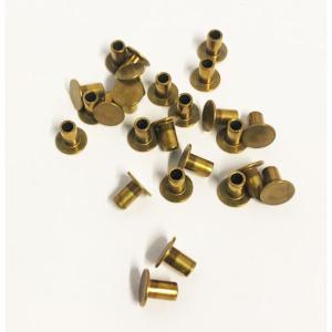 25 Rivets laiton 4x8